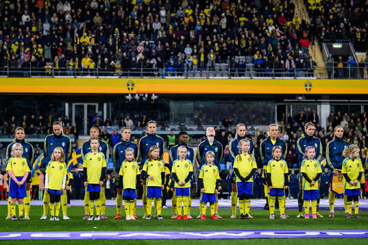 Players of Sweden
