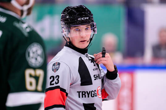Domare Alexander Österberg