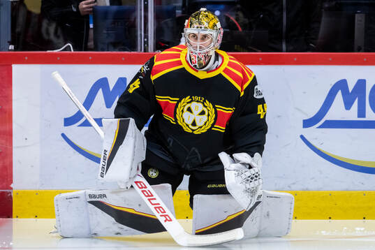 Brynäs målvakt Damian Clara