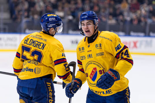 Djurgårdens David Blomgren och Anton Frondell jublar