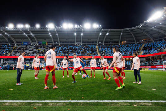 Players of Spain