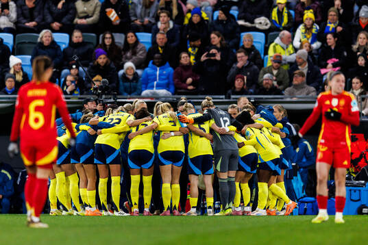 Players of Sweden