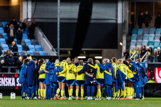 Players of Sweden