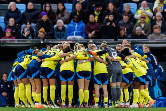 Players of Sweden gathered