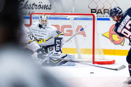 HV71s målvakt Frederik Dichow