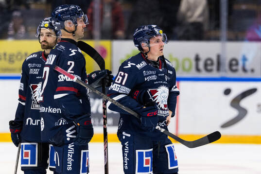 Linköpings Rasmus Rissanen och Markus Ljungh deppar