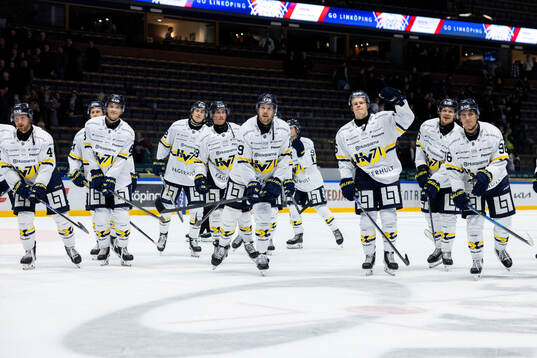 HV71s spelare jublar