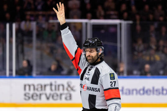 Domare Mikael Sjöqvist