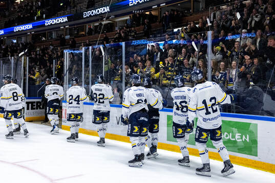 HV71s spelare jublar
