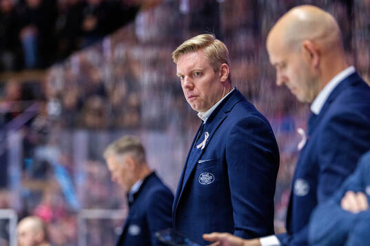 HV71s tränare Anton Blomqvist