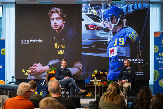 Tre Kronor herrs förbundskapten Sam Hallam