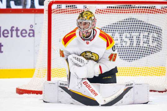 Brynäs målvakt Damian Clara