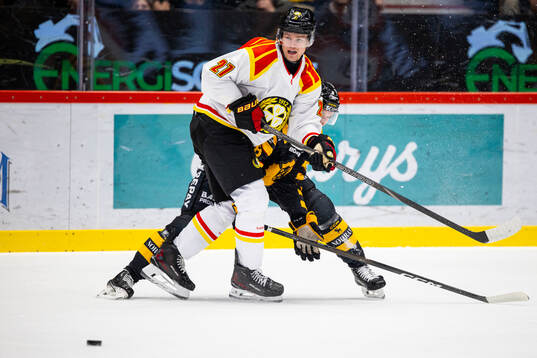 Brynäs Mattias Norlinder