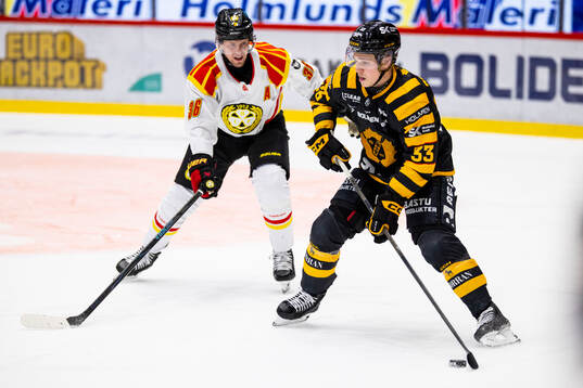 Skellefteås Zeb Forsfjäll