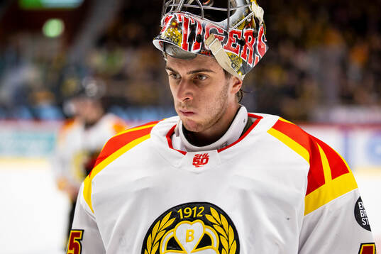 Brynäs målvakt Damian Clara