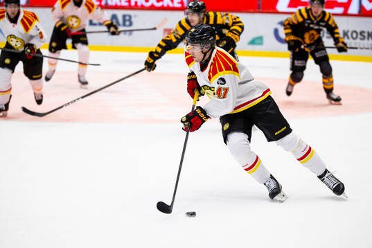 Brynäs Lucas Pettersson
