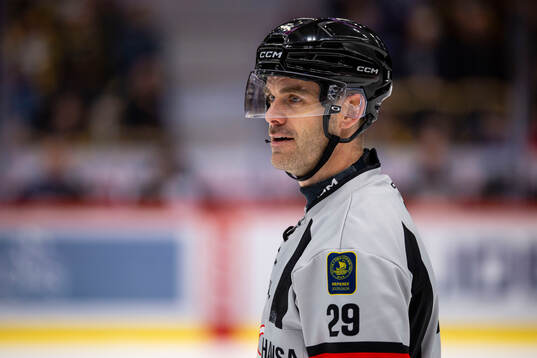 Domare Richard Magnusson