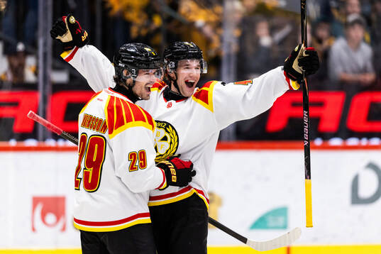 Bläddra bland fler bilder av Ishockey, SHL, Skellefteå - Brynäs