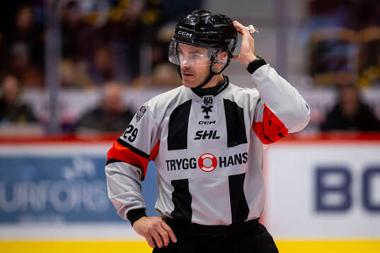 Domare Richard Magnusson