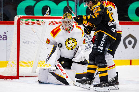 Brynäs målvakt Damian Clara