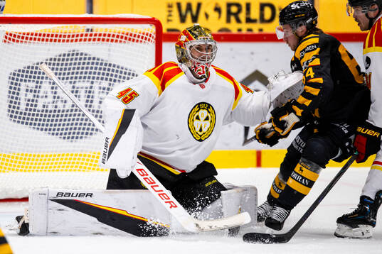 Brynäs målvakt Damian Clara