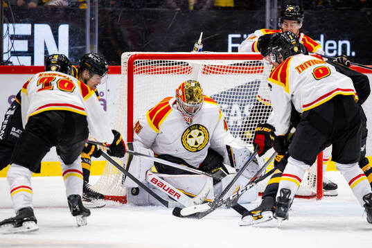 Brynäs målvakt Damian Clara