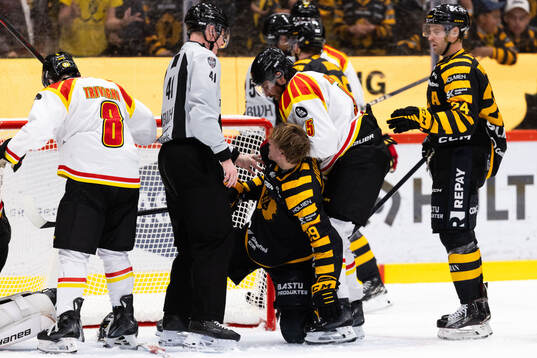 Skellefteås Mikkel Aagaard och Brynäs Michal Kempny