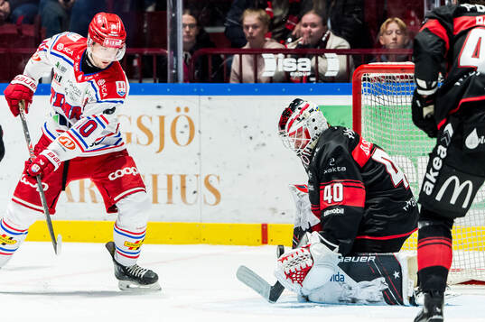 Timrås David Lilja och Malmö Redhawks målvakt Oskar