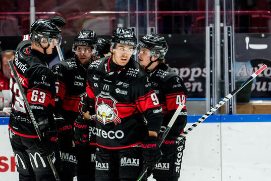 Malmö Redhawks spelare jublar
