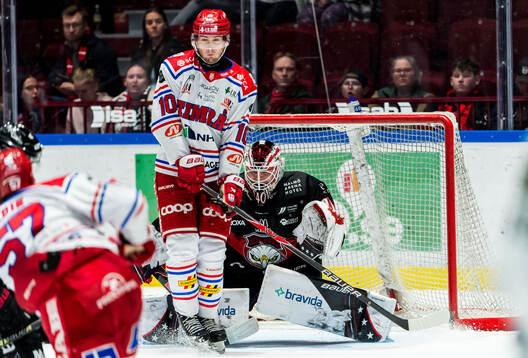 Timrås David Lilja och Malmö Redhawks målvakt Oskar