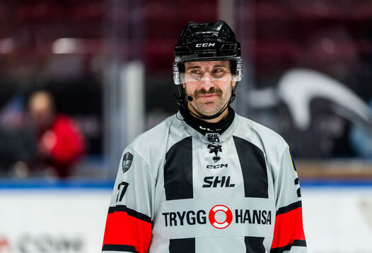 Domare Mikael Sjöqvist