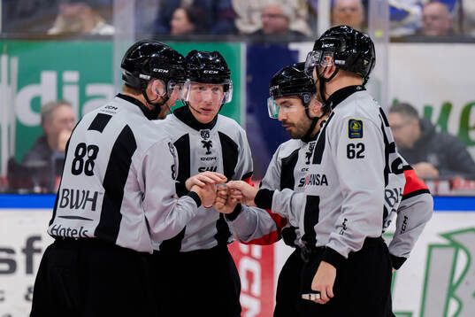 Domare Mikael Holm och Domare Mattias Enroth