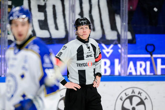 domare Mikael Holm
