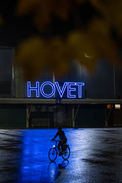 Hovet