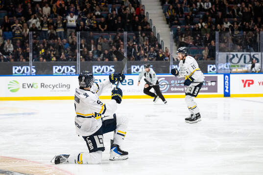 HV71s Hugo Pettersson jublar med lagkamrater