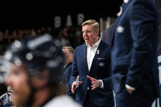HV71s tränare Anton Blomqvist