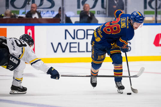 HV71s Jamiro Reber och Djurgårdens Victor Eklund