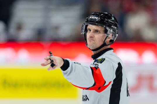 Domare Stefan Leijonklo
