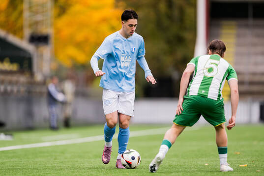Malmö FFs Daniel Dragicevic