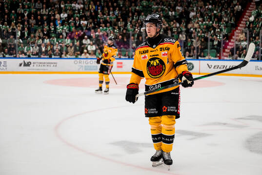 Luleås Jesper Sellgren deppar