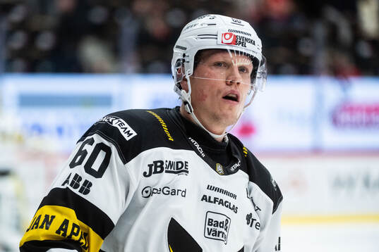 Västerås Niclas Lundgren