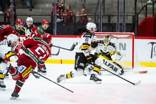 Västerås målvakt Benedikt Oschgan
