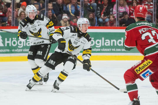 Västerås Max Karlsson