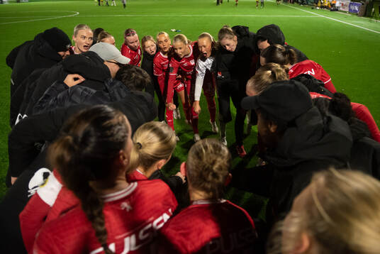 Elfsborg jublar