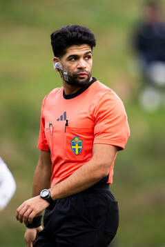Domare Hassan Al-Saqr