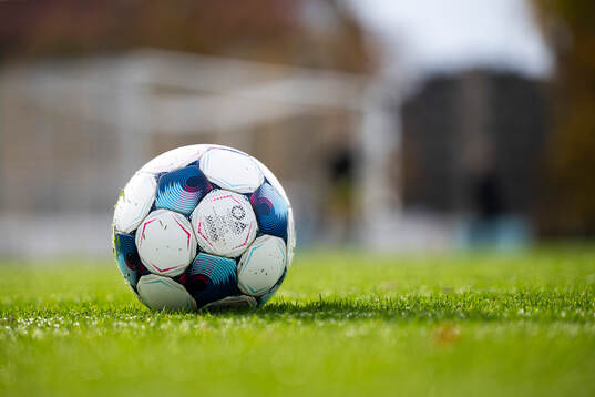 En fotbollsboll