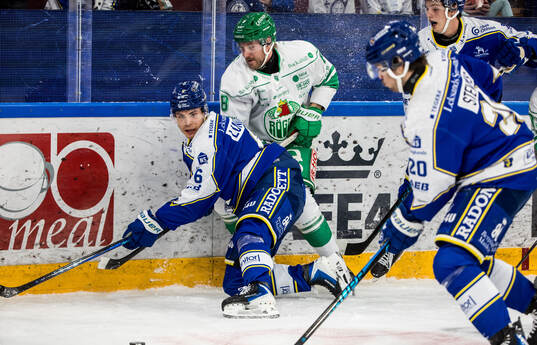 Leksands Alexander Lundqvist och Rögles Linus Sandin