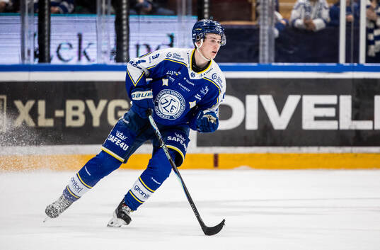 Leksands Tinus Luc Koblar