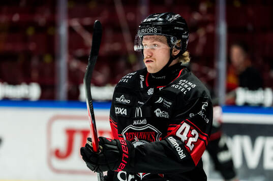 Malmö Redhawks Robin Salo