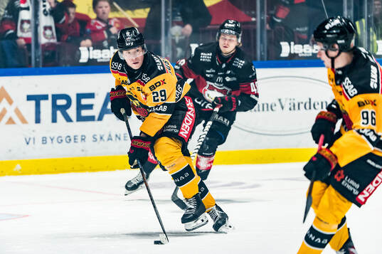 Luleås Erik Gustafsson och Malmö Redhawks Lauri Pajuniemi